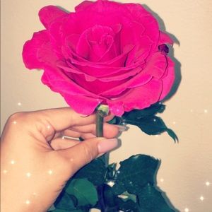 Meet your Posher, Mary